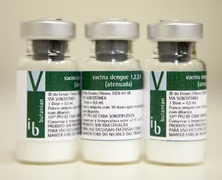 Dengue: vacina do Butantan já tem prazo para chegar ao público