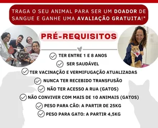 Doação de sangue para pets ocorre neste sábado, em Ondina