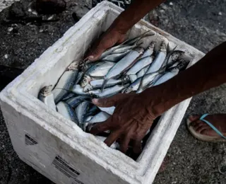 E o Dia do Pescador é o Dia da Mentira? É dupla mentira, gritam