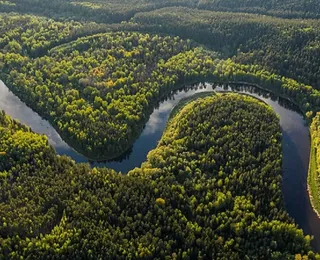 O “raio-x” da natureza