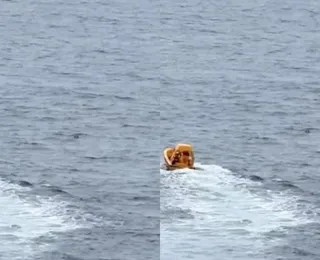 Pai entra no mar para salvar filha que caiu de cruzeiro da Disney