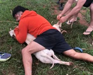 Vídeo: lutador de Muay Thai imobiliza dois pitbull após ataque