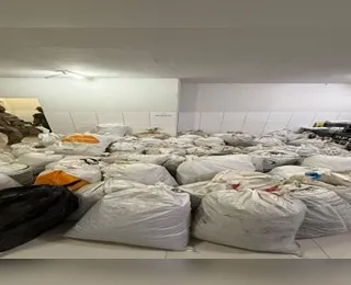 Virou fumaça? Ação da polícia destrói fazenda com 37 mil pés de maconha