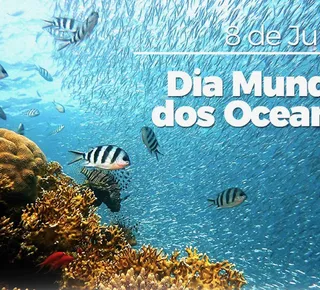 Dia Mundial dos Oceanos - Imagem