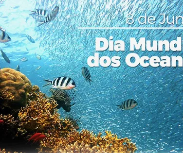 Dia Mundial dos Oceanos - Imagem