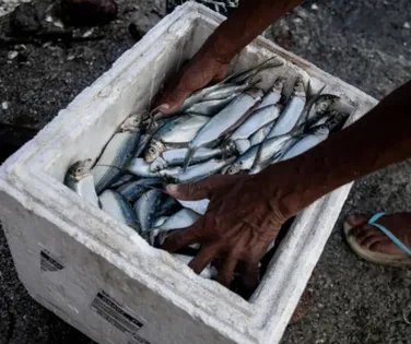 E o Dia do Pescador é o Dia da Mentira? É dupla mentira, gritam - Imagem