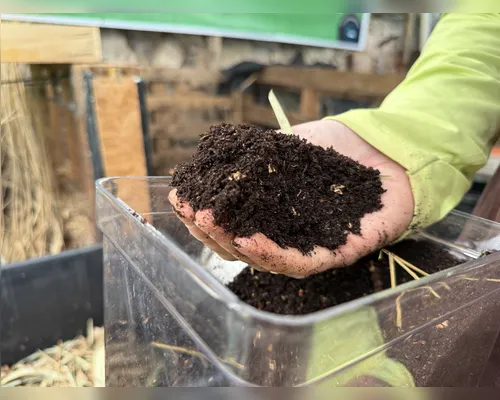 Compostagem caseira: como transformar resíduos em adubo natural - Imagem