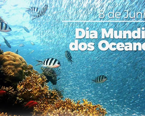 Dia Mundial dos Oceanos - Imagem