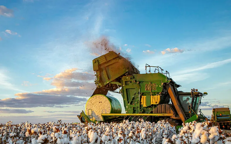 PIB do agronegócio cresce 6,5% no 1º trimestre do ano - Imagem