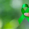 Agosto Verde Claro alerta para o linfoma - Imagem