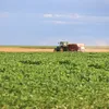 Agricultura familiar de Feira alimenta Salvador e Região Metropolitana - Imagem