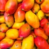Bahia perderá R$ 400 milhões em frutas com tarifaço; manga será a mais afetada - Imagem