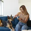 Casa limpa e pet seguro: veja como higienizar o lar sem riscos aos animais - Imagem