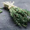 Gripou? Essa é a planta mais recomendada para gripe e dor de garganta - Imagem