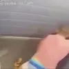 Mulher que levou 61 socos diz que juíza não conseguiu assistir vídeo da agressão - Imagem