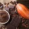 O sabor irresistível do chocolate pode se tornar mais delicioso graças a fermentação - Imagem