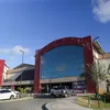 “Samba e Alegria” estreia no Ceasinha - Imagem