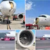 VÍDEO: avião colide com aves e tem parte frontal destruída durante voo - Imagem