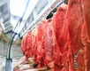 Brasil conquista novo mercado de carne bovina após tarifaço de Trump - Imagem
