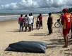 Pai e filho morrem afogados após mergulho em praia turística na Bahia - Imagem