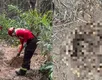 Policiais militares localizam corpos esquartejados em área de mata - Imagem