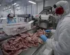 Tarifa dos EUA: governo libera compra de açaí, manga, mel e pescados - Imagem