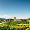 4 destinos de experiência para viajar no feriado de 7 de Setembro imagem