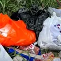 Absurdo: feto é encontrado dentro de sacola de lixo imagem