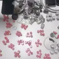 Adolescente de 15 anos é flagrada com drogas e 'Ozempic' roubados imagem