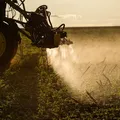 Agronegócio teme perda de safras e apoia negociação do governo com EUA imagem