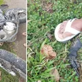 Assalto a moto termina com dois suspeitos mortos em Jequié imagem
