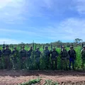 Bahia ultrapassa 1 milhão de pés de maconha erradicados em 2025 imagem