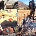 Chinês é preso por gerir garimpo ilegal com explosivos na Bahia imagem