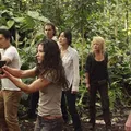 Conheça "Lost", uma das melhores séries de todos os tempos! imagem