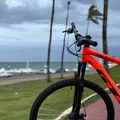 ‘Descomplicando a Sustentabilidade’ destaca uso da bicicleta nas cidades imagem