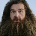 Diretor de Harry Potter critica nova série: “Qual é o sentido?" imagem
