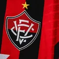 Enquete: o Vitória consegue vencer o Botafogo no Brasileirão? imagem