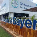 Estágio da Bayer abre vagas para baianos com bolsa de até R$ 2.100 imagem