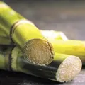Estudantes produzem vinagre artesanal a partir do caldo de cana imagem