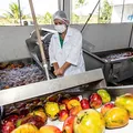 Feira de Santana impulsiona produção da agroindústria familiar no interior da Bahia imagem