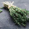 Gripou? Essa é a planta mais recomendada para gripe e dor de garganta imagem