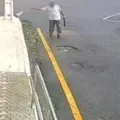 Idoso é preso após dar comida envenenada para cachorros comerem imagem