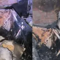 Incêndio destrói casa e deixa pai e filho feridos em Pirajá imagem