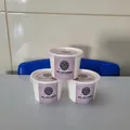 Jovens baianos transformam plantas e saber popular para desenvolver pomada e xarope imagem