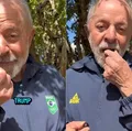 Lula sugere que Trump coma jabuticaba para pôr fim a tarifaço imagem