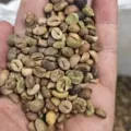 Mais de 2,4 toneladas de café impróprio ao consumo são apreendidas imagem