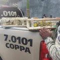 Mais de 80 aves são resgatadas de cativeiro irregular na Bahia imagem