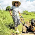 Microcrédito estimula e amplia protagonismo feminino no campo imagem