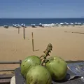Novo feriado nacional deve gerar feriadão de 4 dias ainda em 2025 imagem