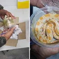 Pacote misterioso: cobra é encontrada em encomenda dos Correios imagem